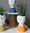 Hanlv handicrafts, creative cement character images, realistic succulent plant potted plants, bonsai, home decoration ornaments, window display decoration props undefined
